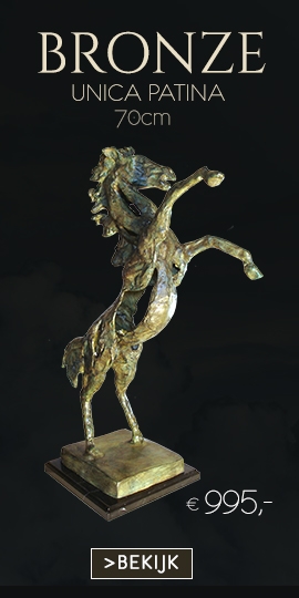 Bronzen beeld steigerend paard titel Energie Unica Patina